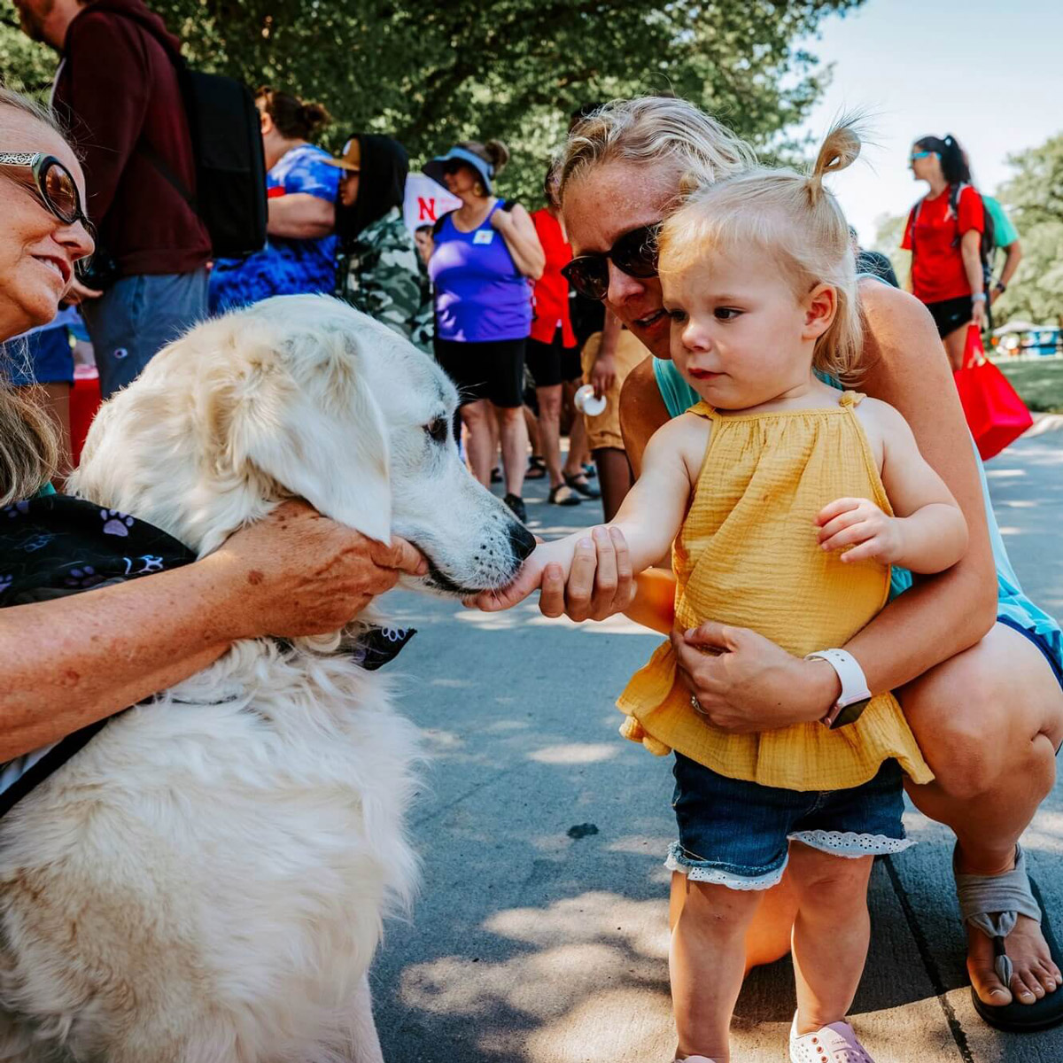 Little girl petting a dog at Discovery Days.