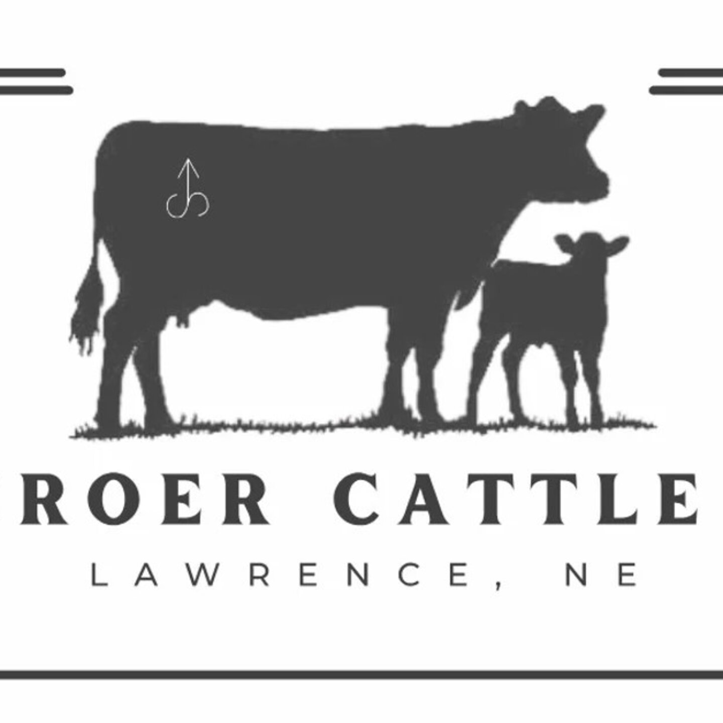 Schroer Cattle Company